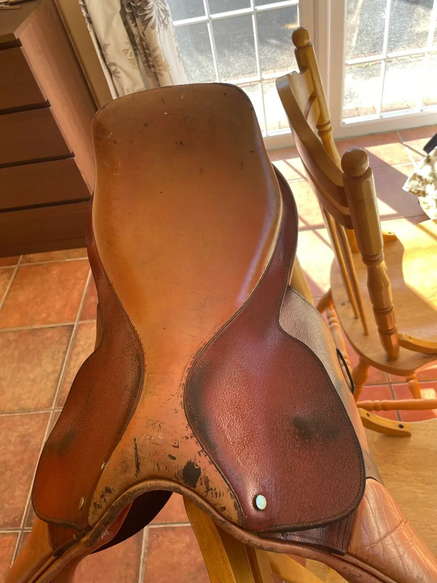 Saddle - Image 4