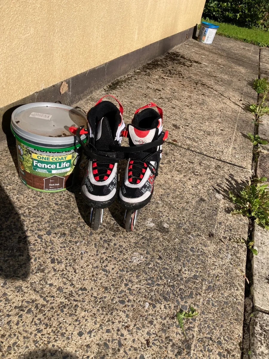 Roller Blades