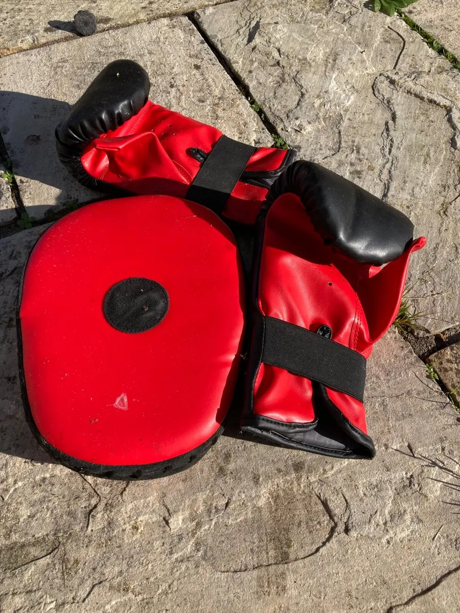 Boxing Bag - Image 2