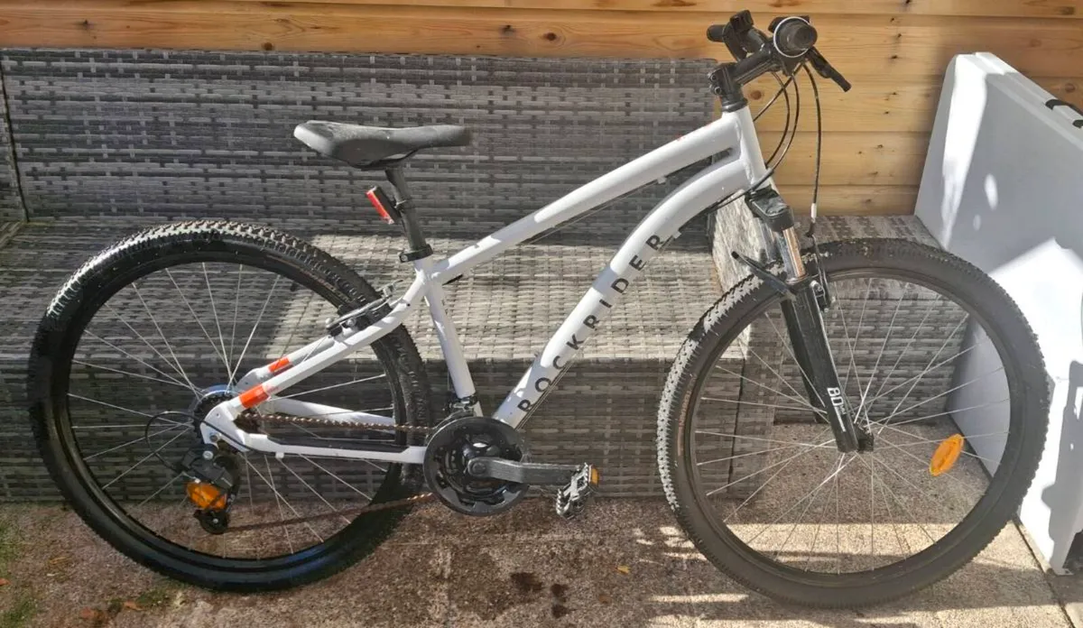 Bike - Image 1