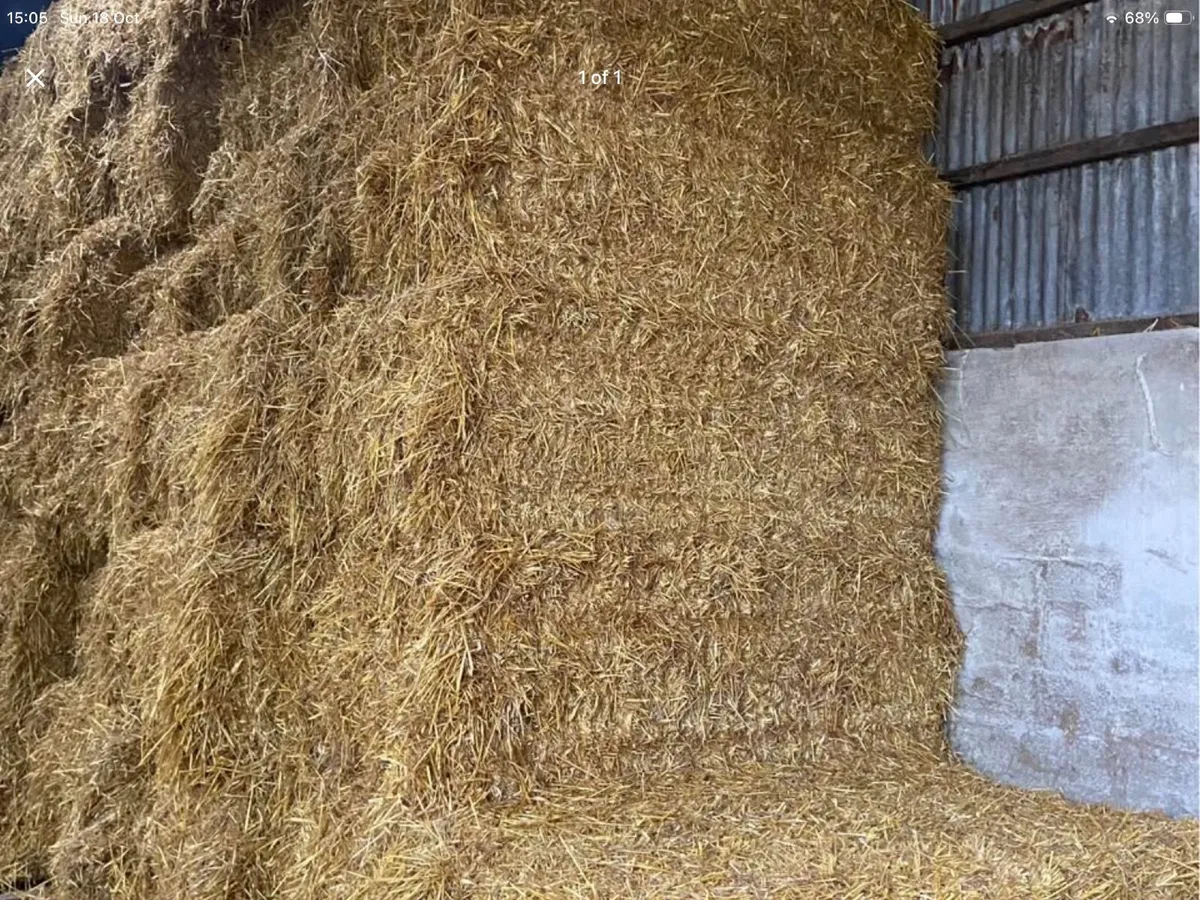 Straw