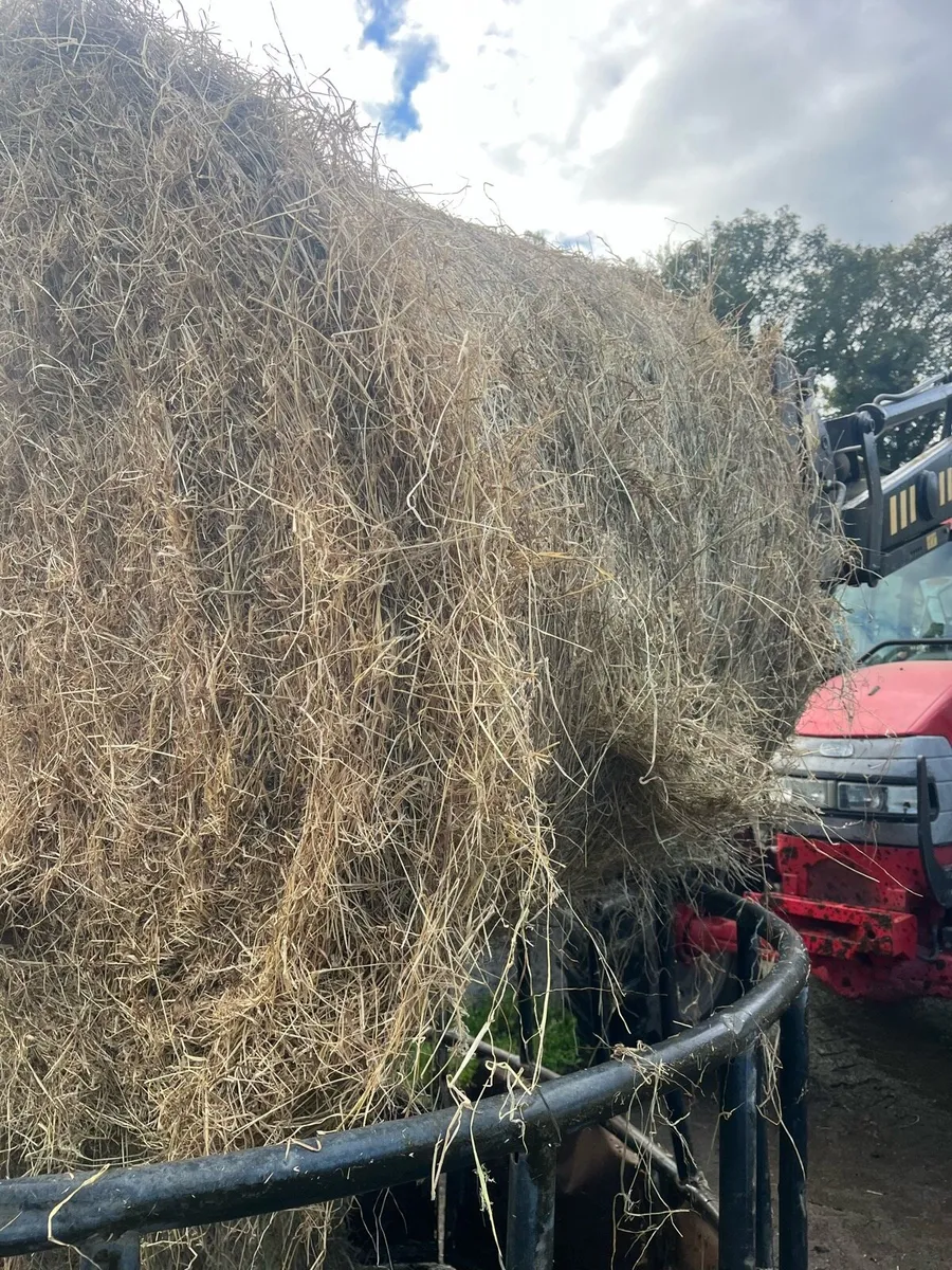Hay and Silage - Image 1