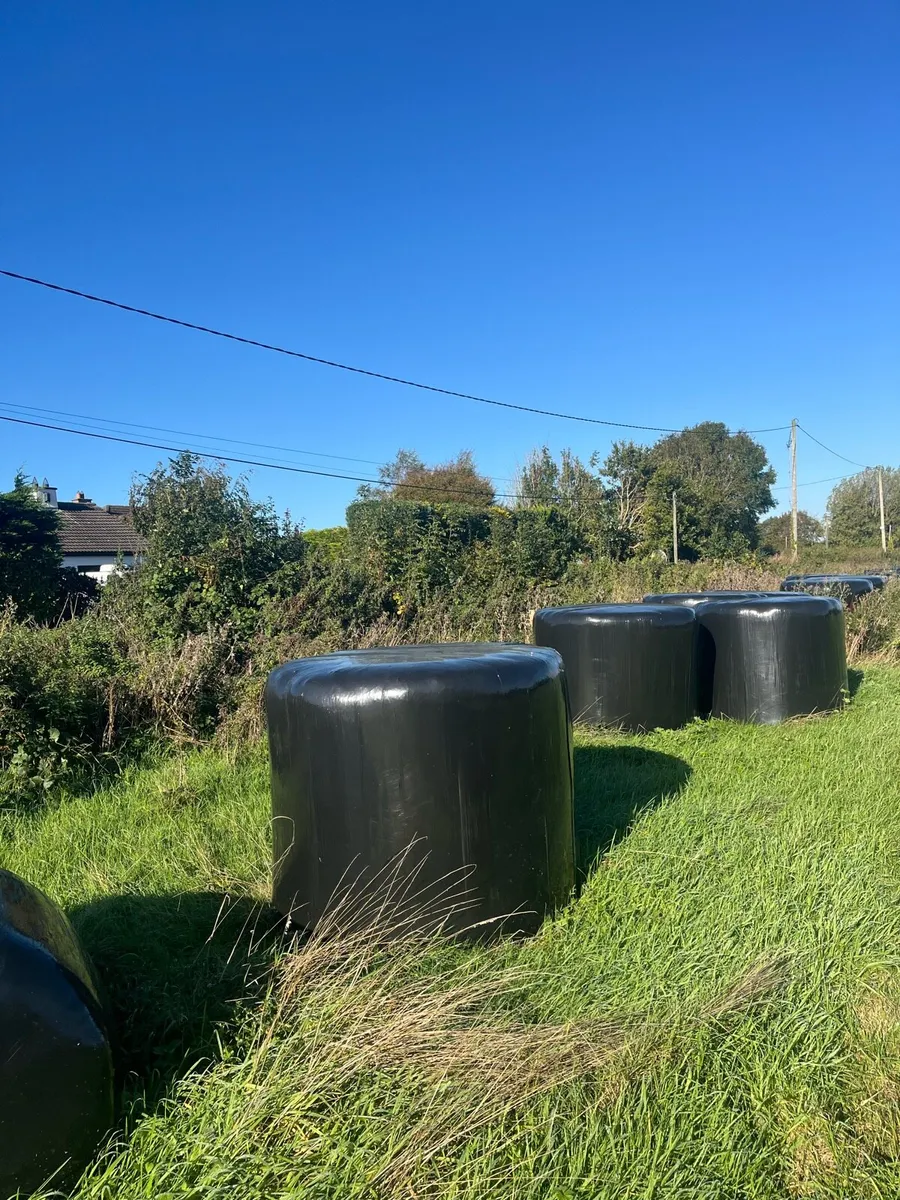 Hay and Silage - Image 2