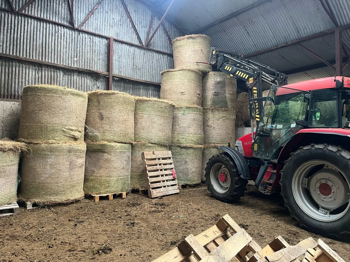 Hay and Silage - Image 3