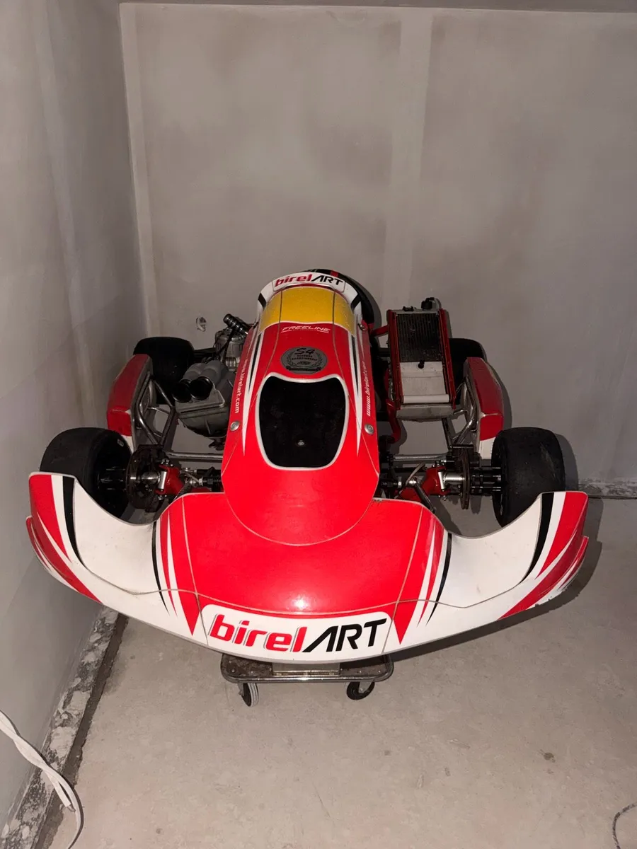 BIREL GO KART TMR1 - Image 2
