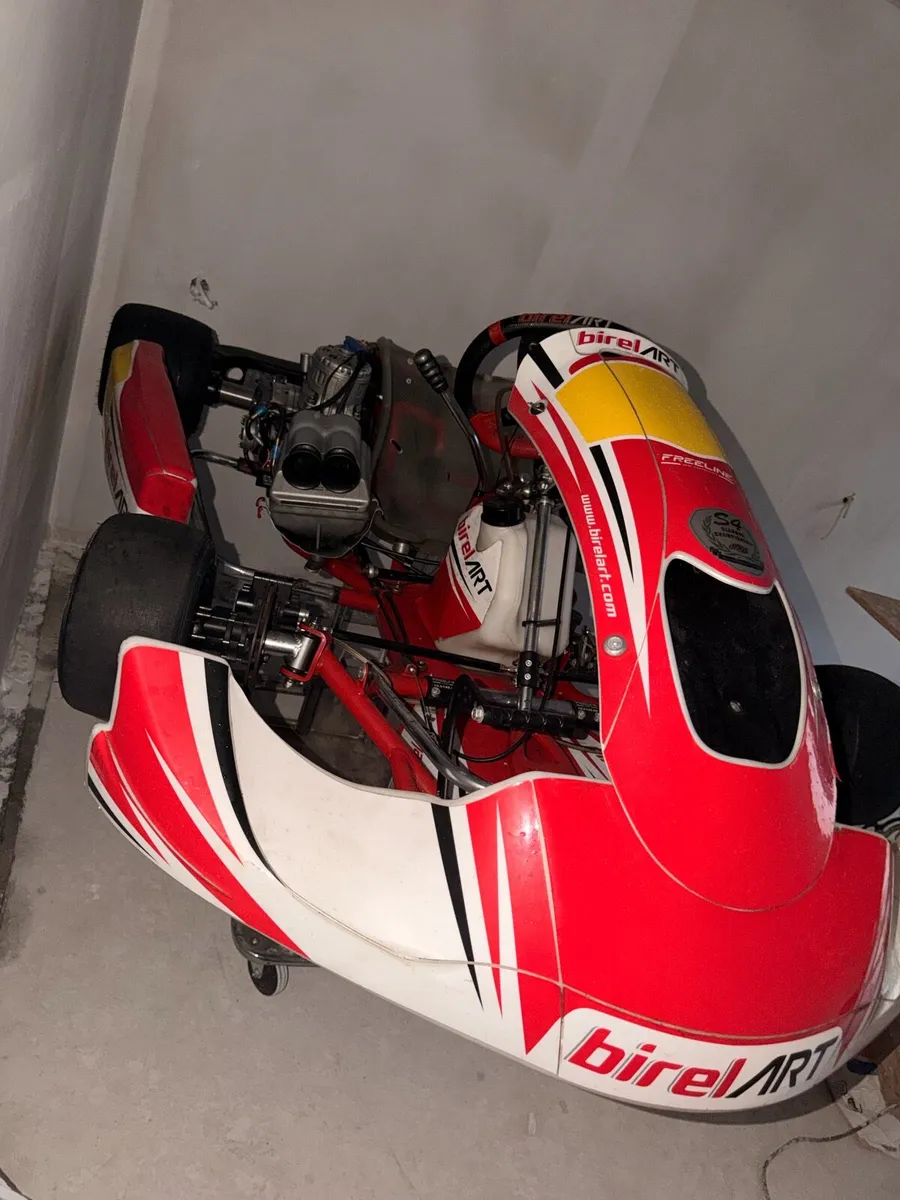 BIREL GO KART TMR1 - Image 3
