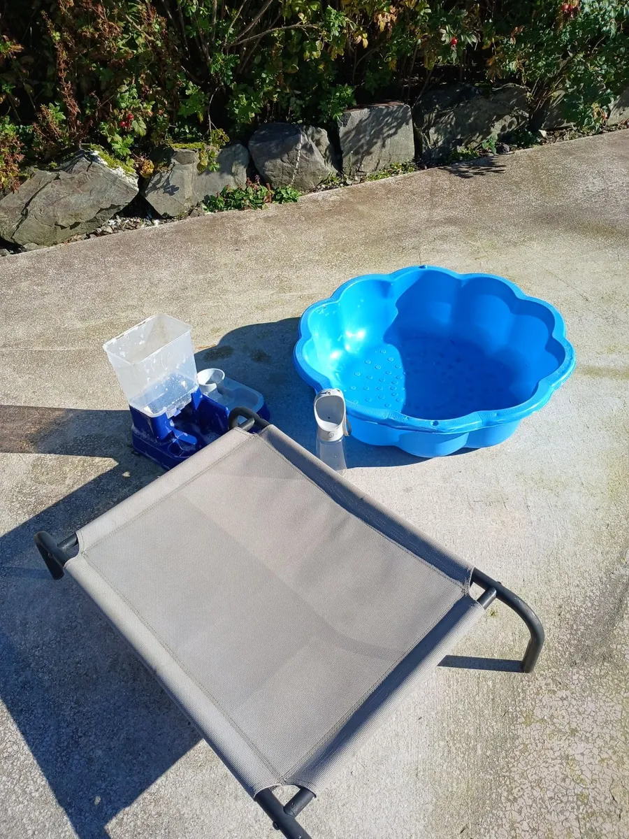 Dog raised bed and paddling pool - Image 1