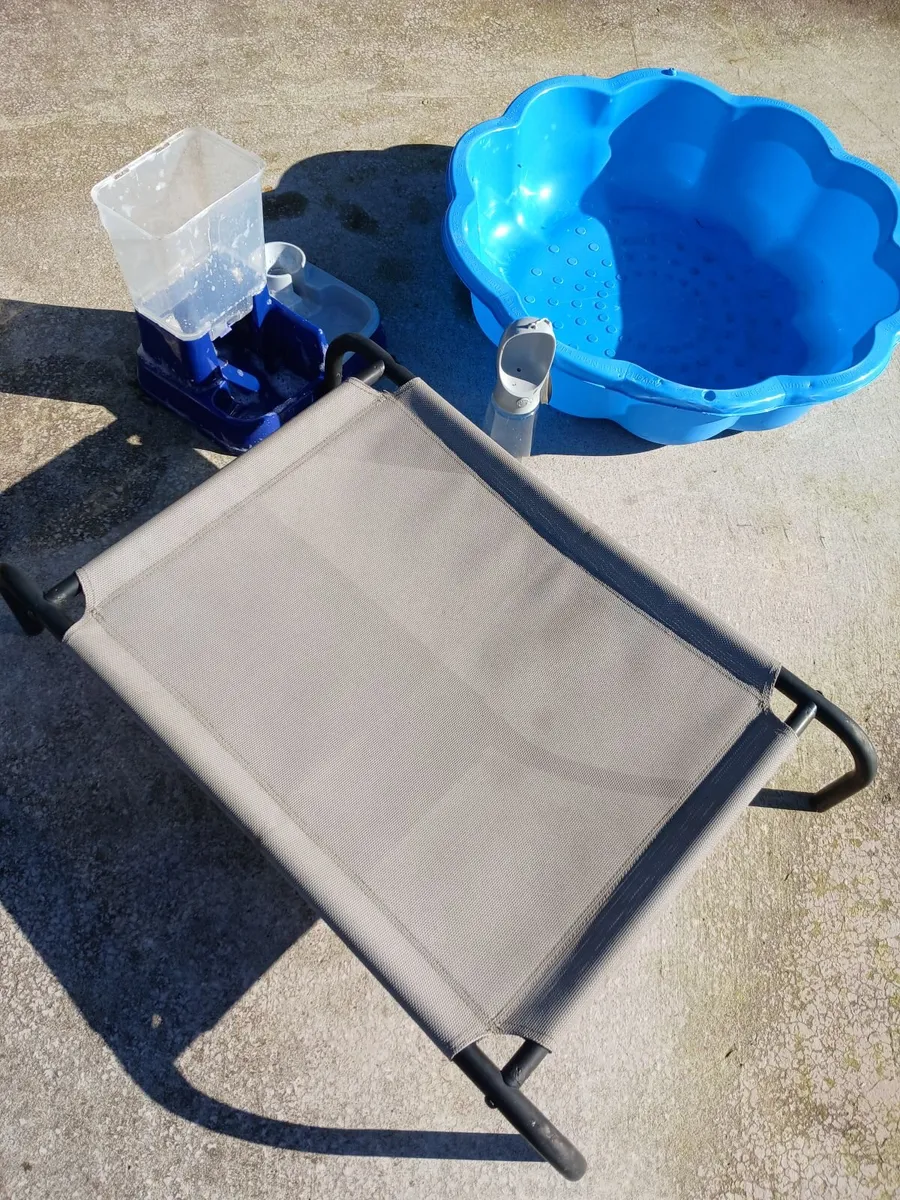 Dog raised bed and paddling pool - Image 4