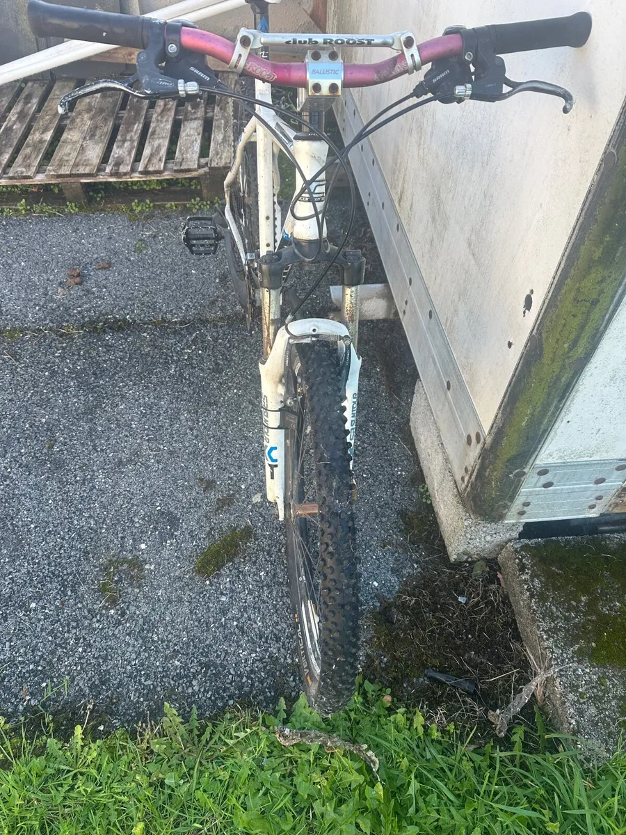 Carrera Adults bike - Image 3