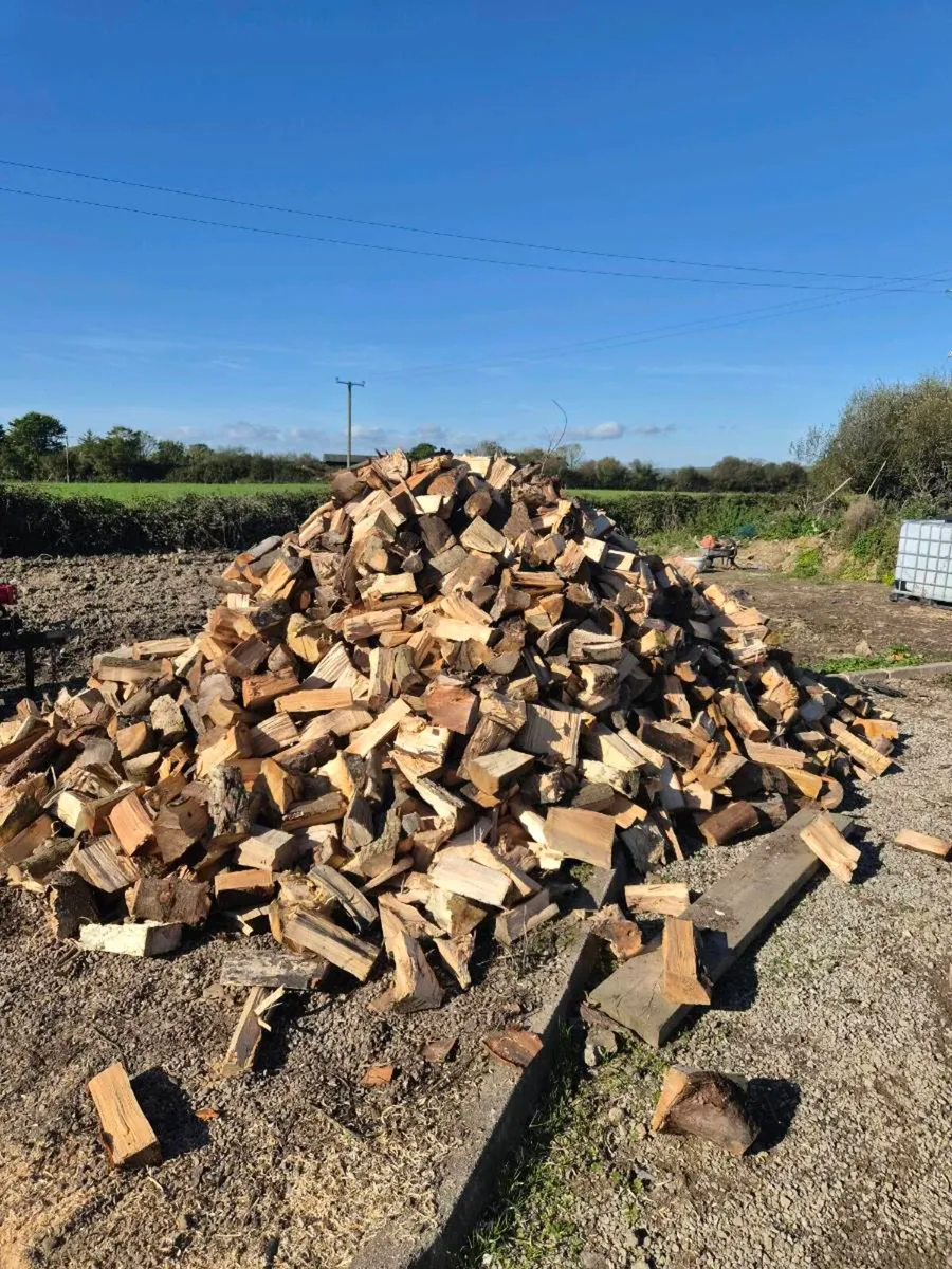 Fire wood ash hard wood