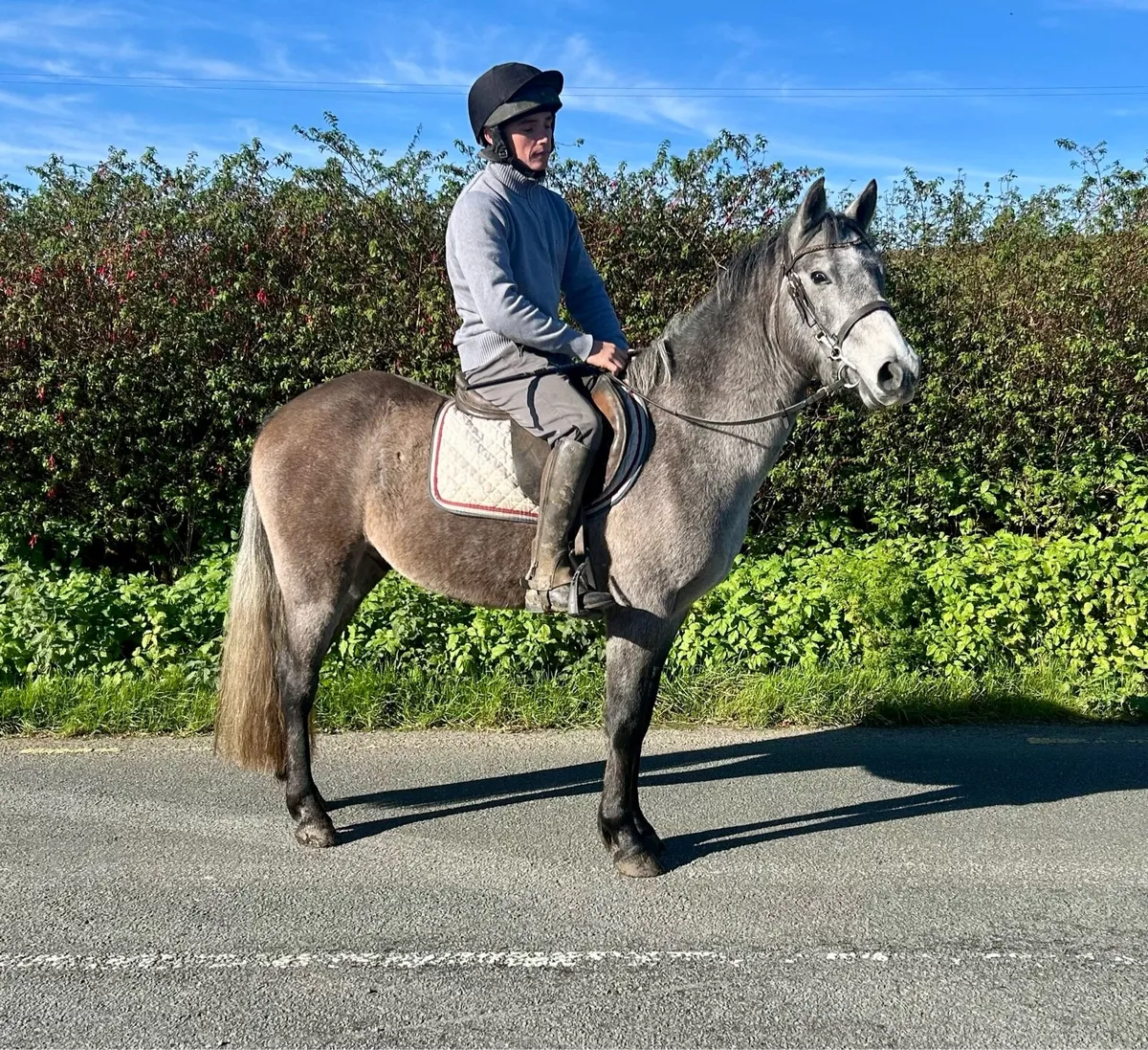 Lovely allrounder - Image 1