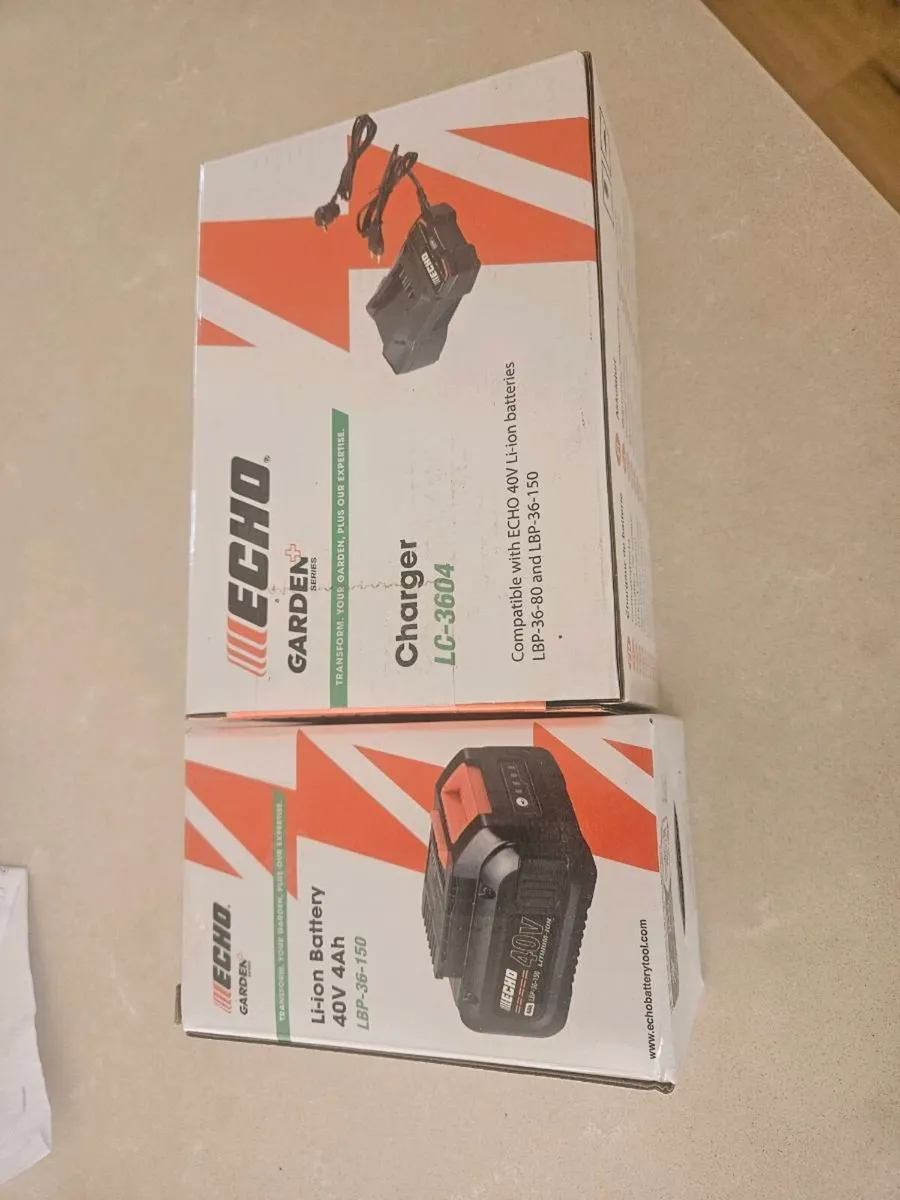 Echo Battery and Charger