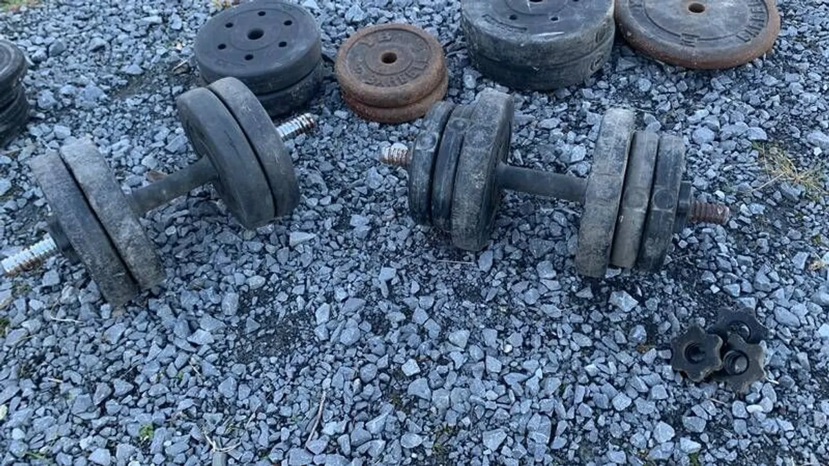 Gym Weights - Image 3