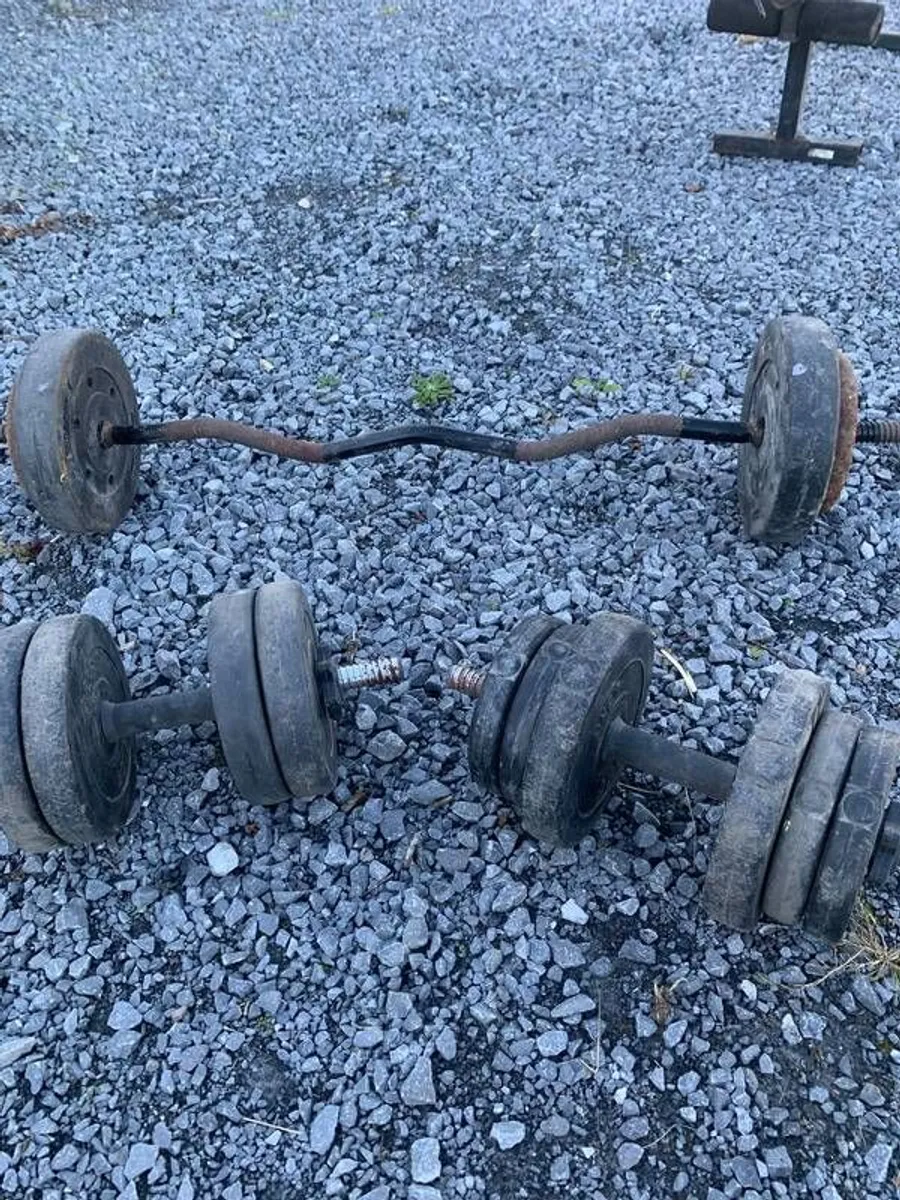 Gym Weights - Image 4