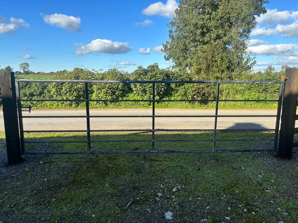 Metal gate