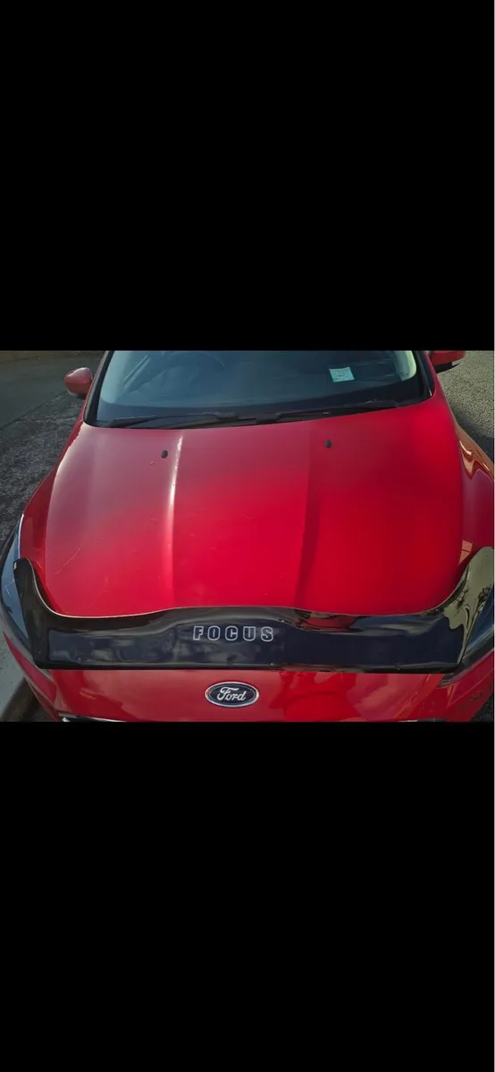 Ford focus bonnet protector