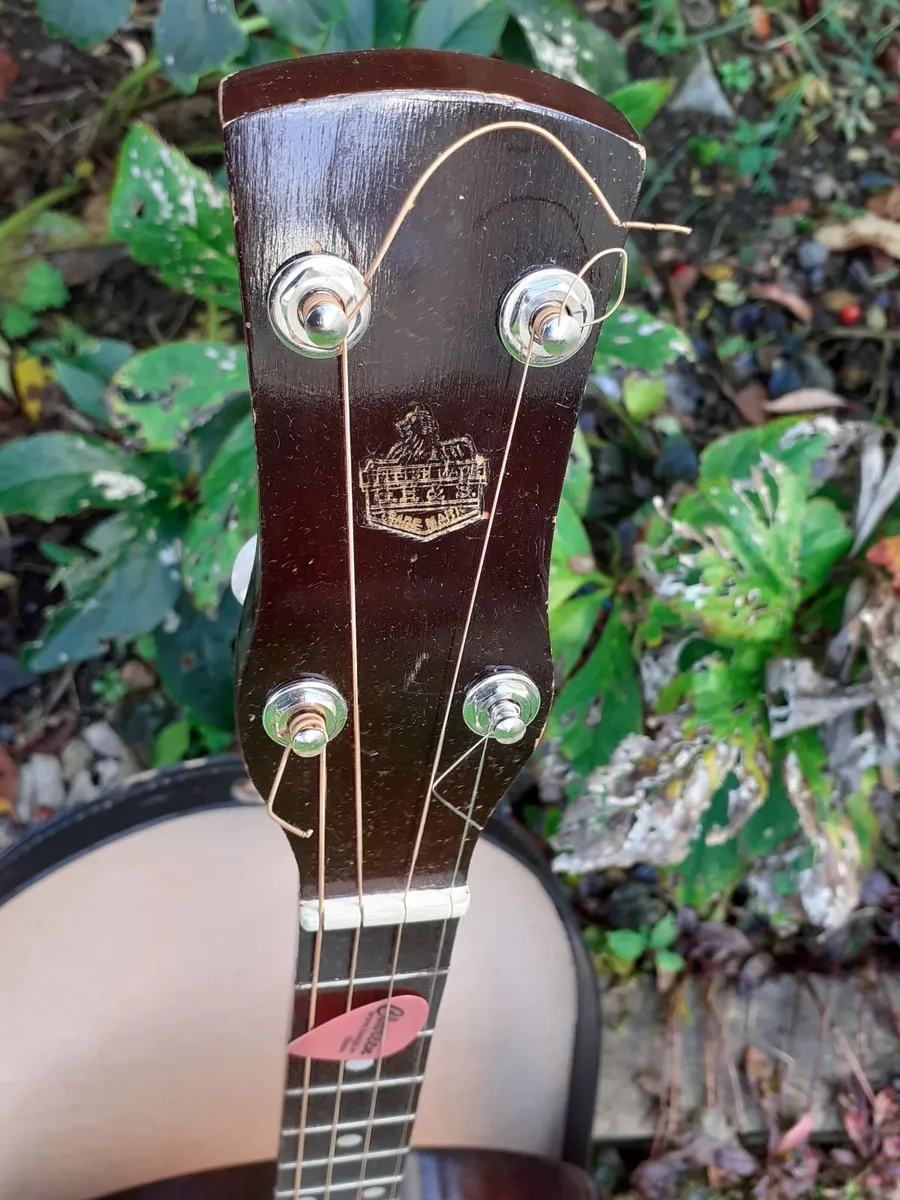 Banjo - Image 3