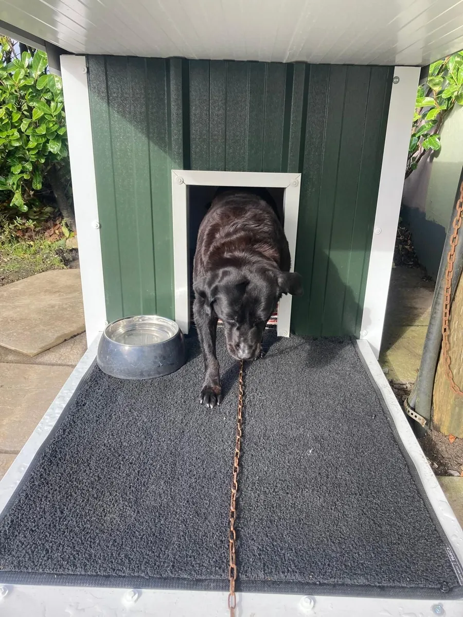 Dog Kennels For Sale - Image 2