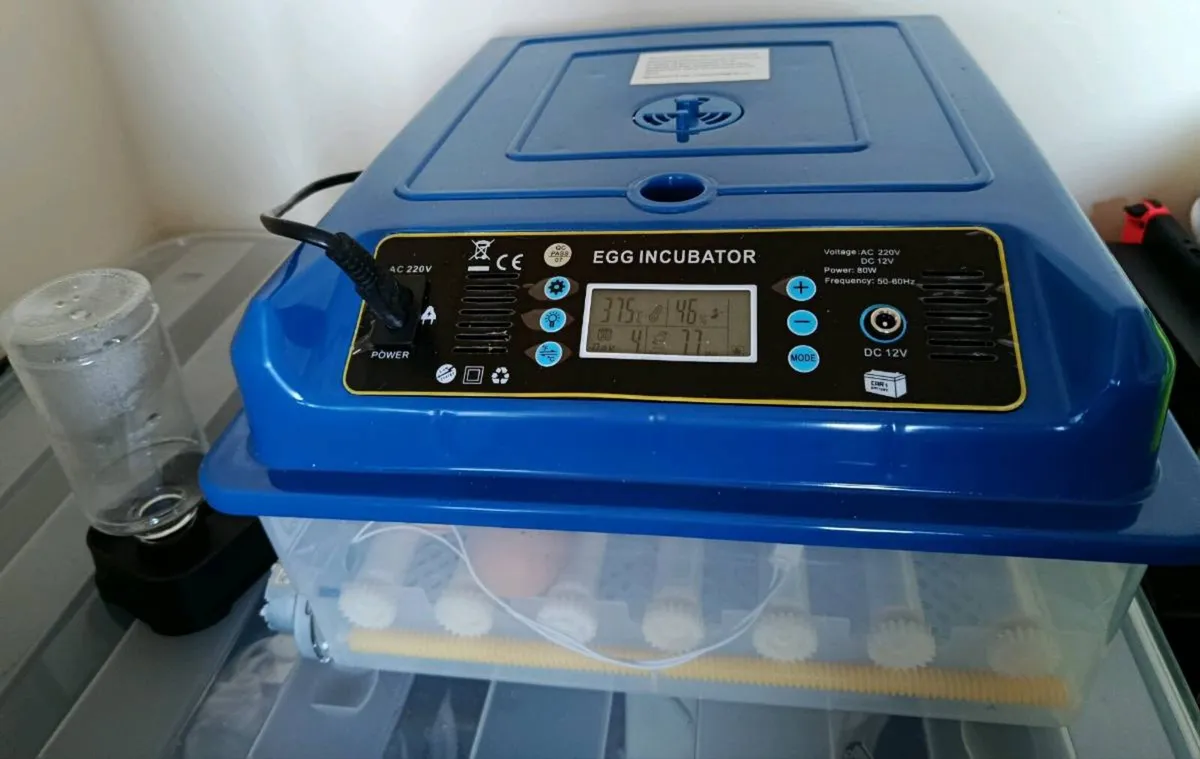 Egg incubator - Image 2