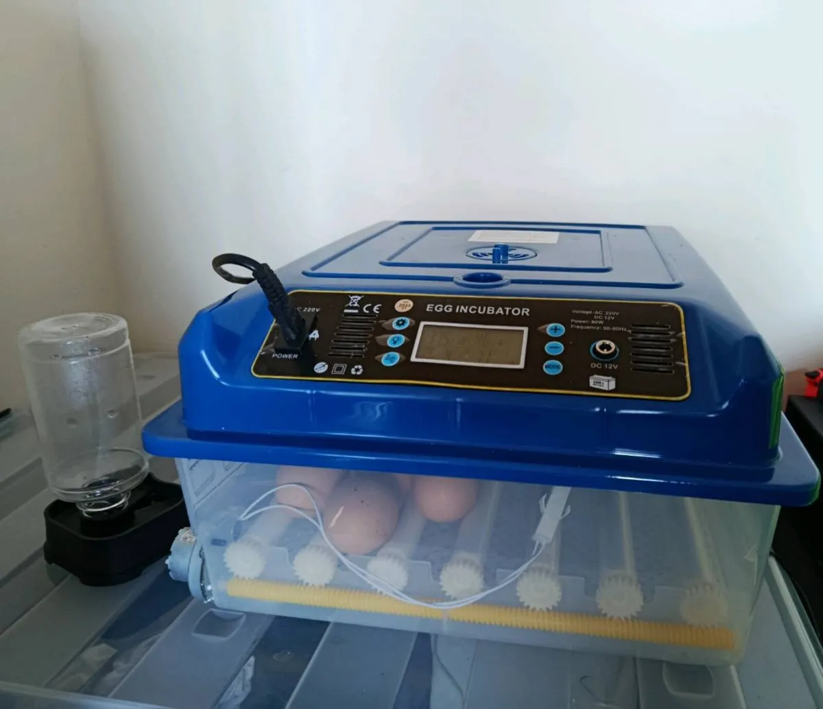 Egg incubator - Image 1