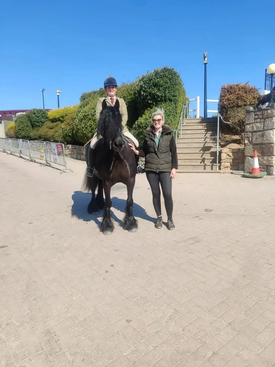 Dales Pony - Image 3