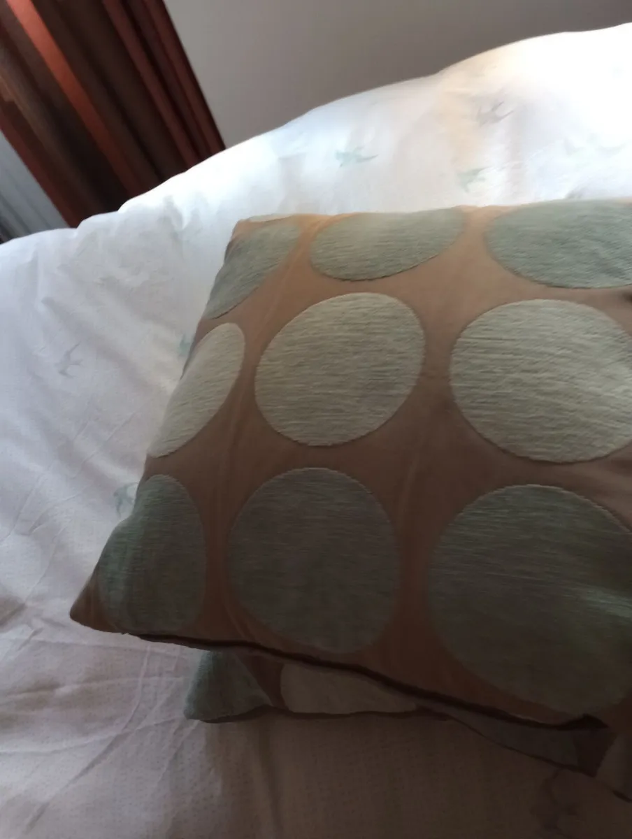 Cushions, Sage (2)