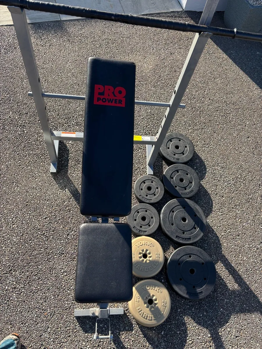 Pro power bench