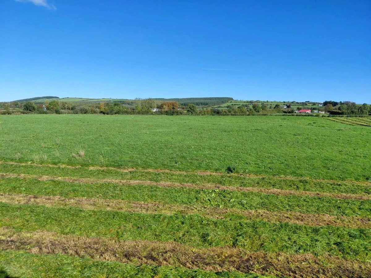 Silage bales - Image 2