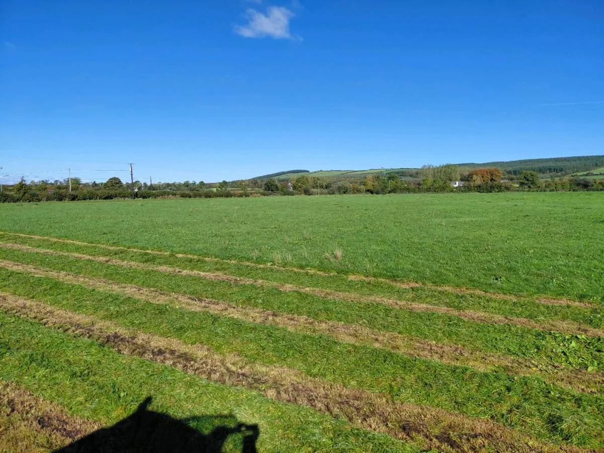 Silage bales - Image 3