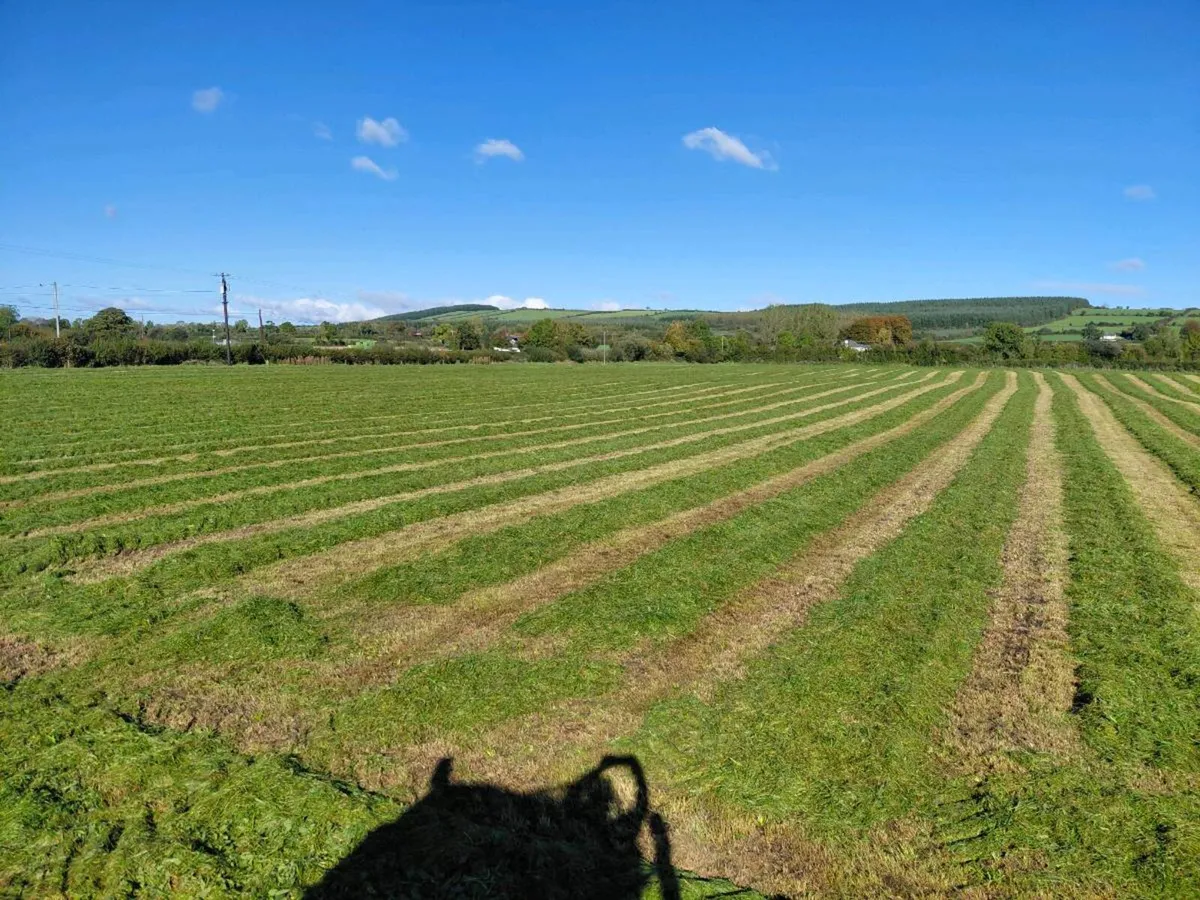 Silage bales - Image 4