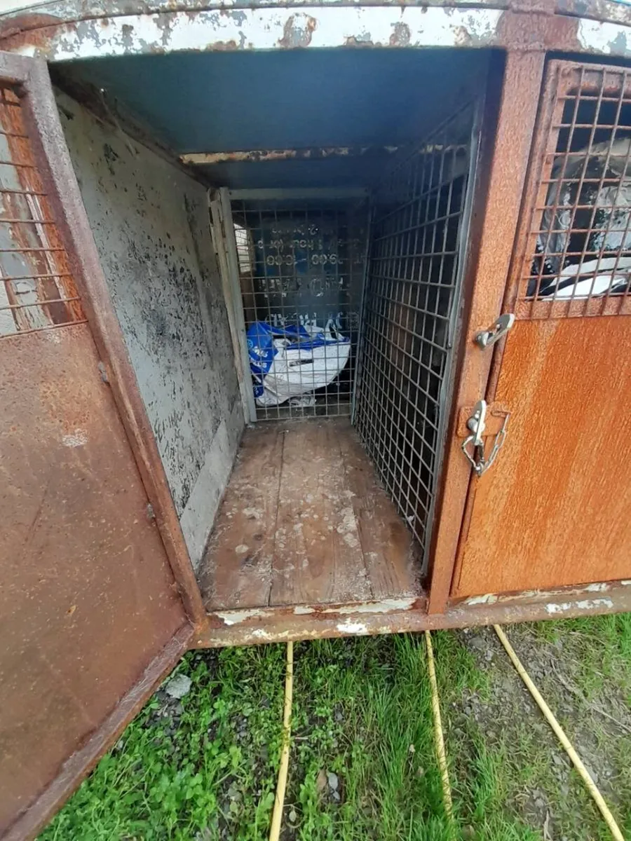Dog trailer - Image 4
