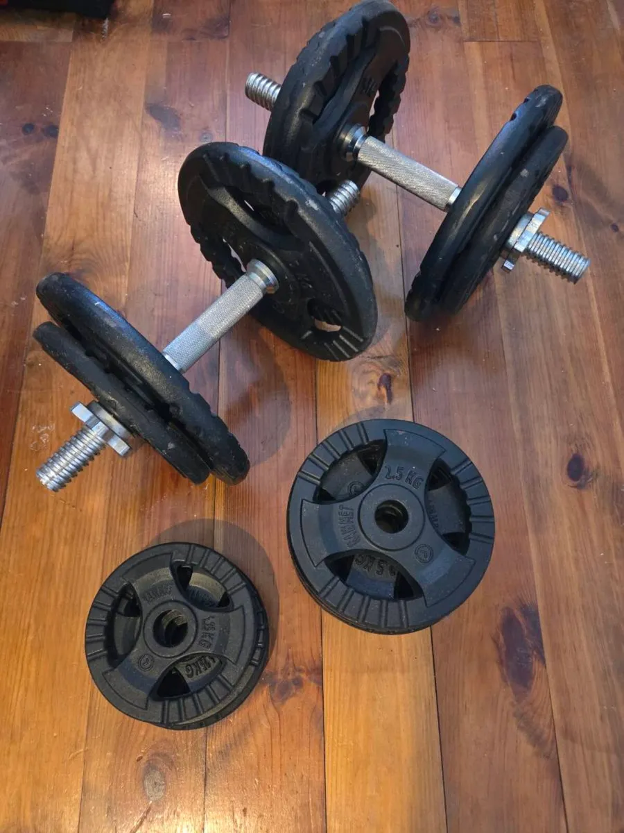Cast Iron Dumbbells - Image 4