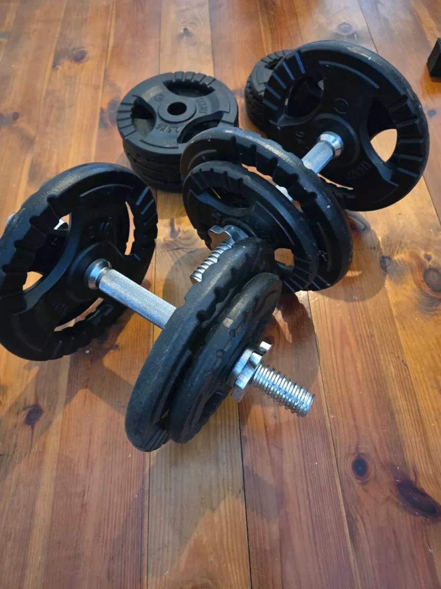 Cast Iron Dumbbells - Image 1