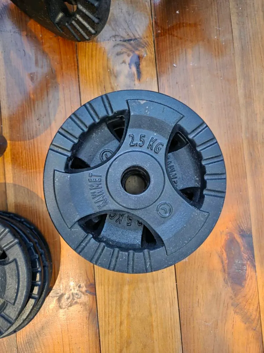 Cast Iron Dumbbells - Image 2