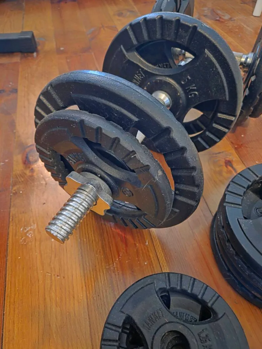 Cast Iron Dumbbells - Image 3