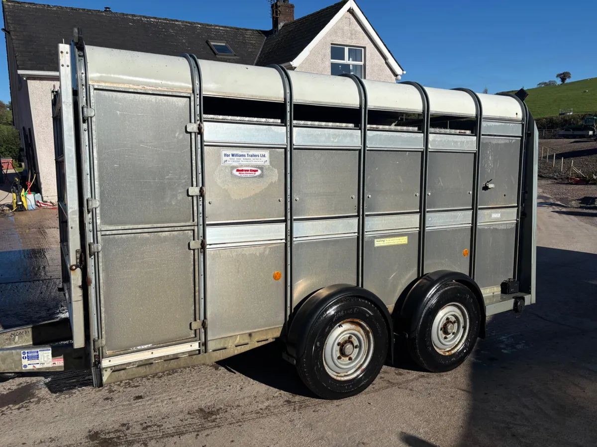 Ifor Williams cattle trailers - Image 2