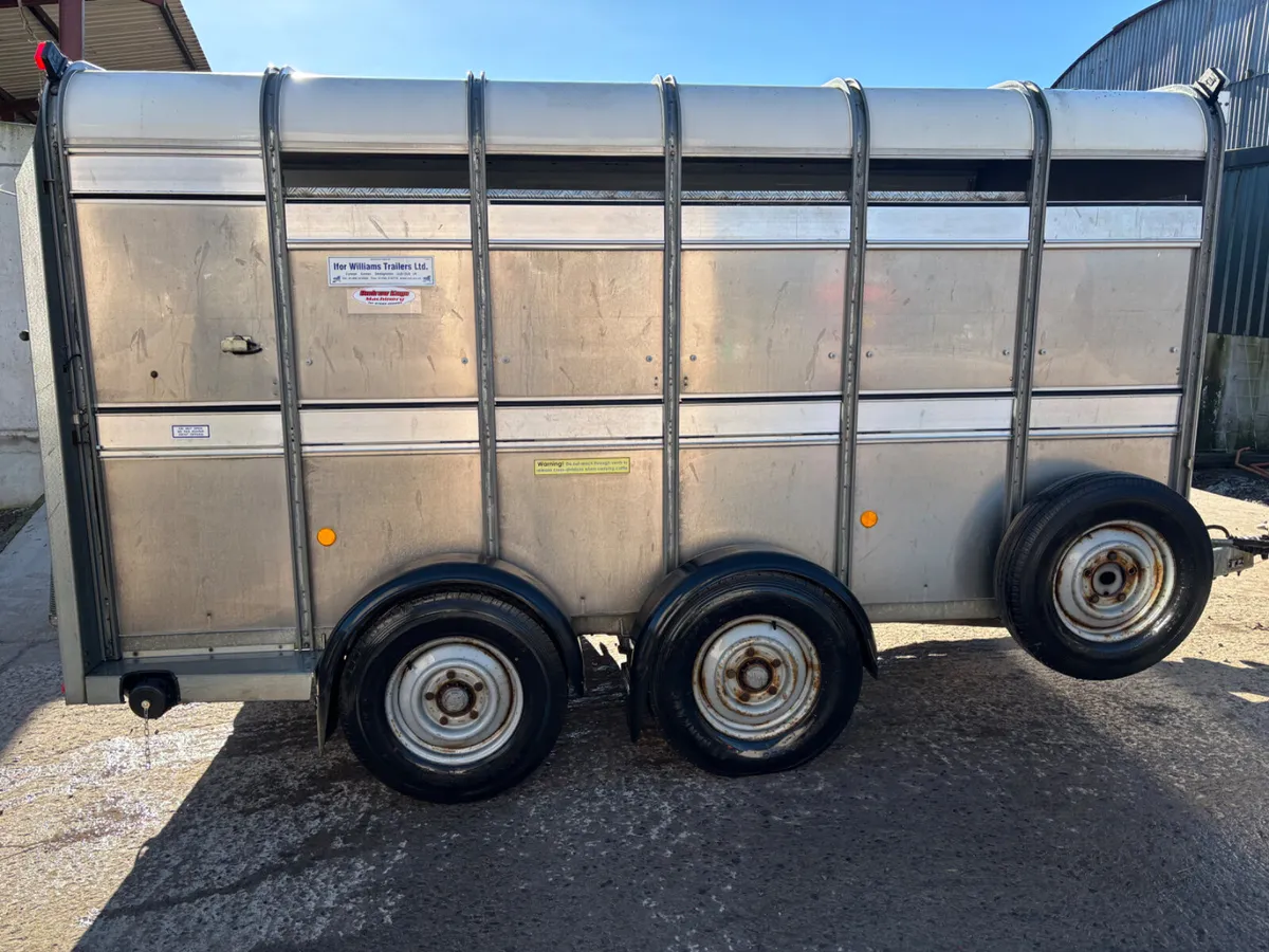 Ifor Williams cattle trailers - Image 1
