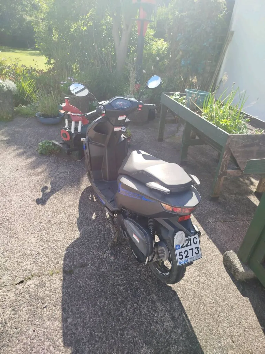 Moped - Image 4