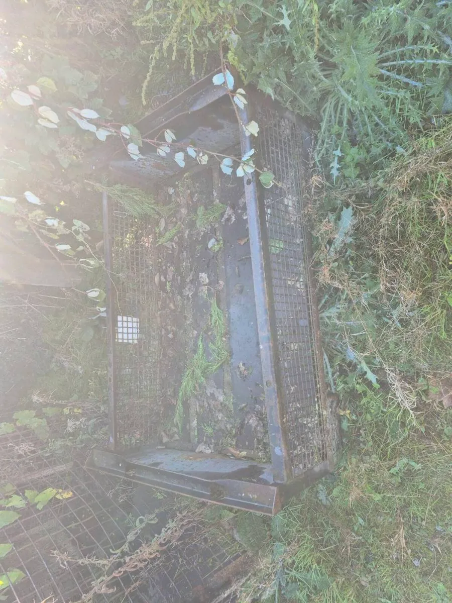 Mesh cage - Image 4