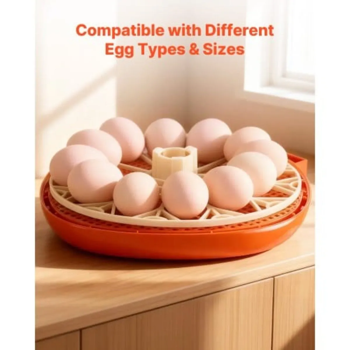 12 Egg Incubator, Automatic Egg Turner with LED Ca - Image 4