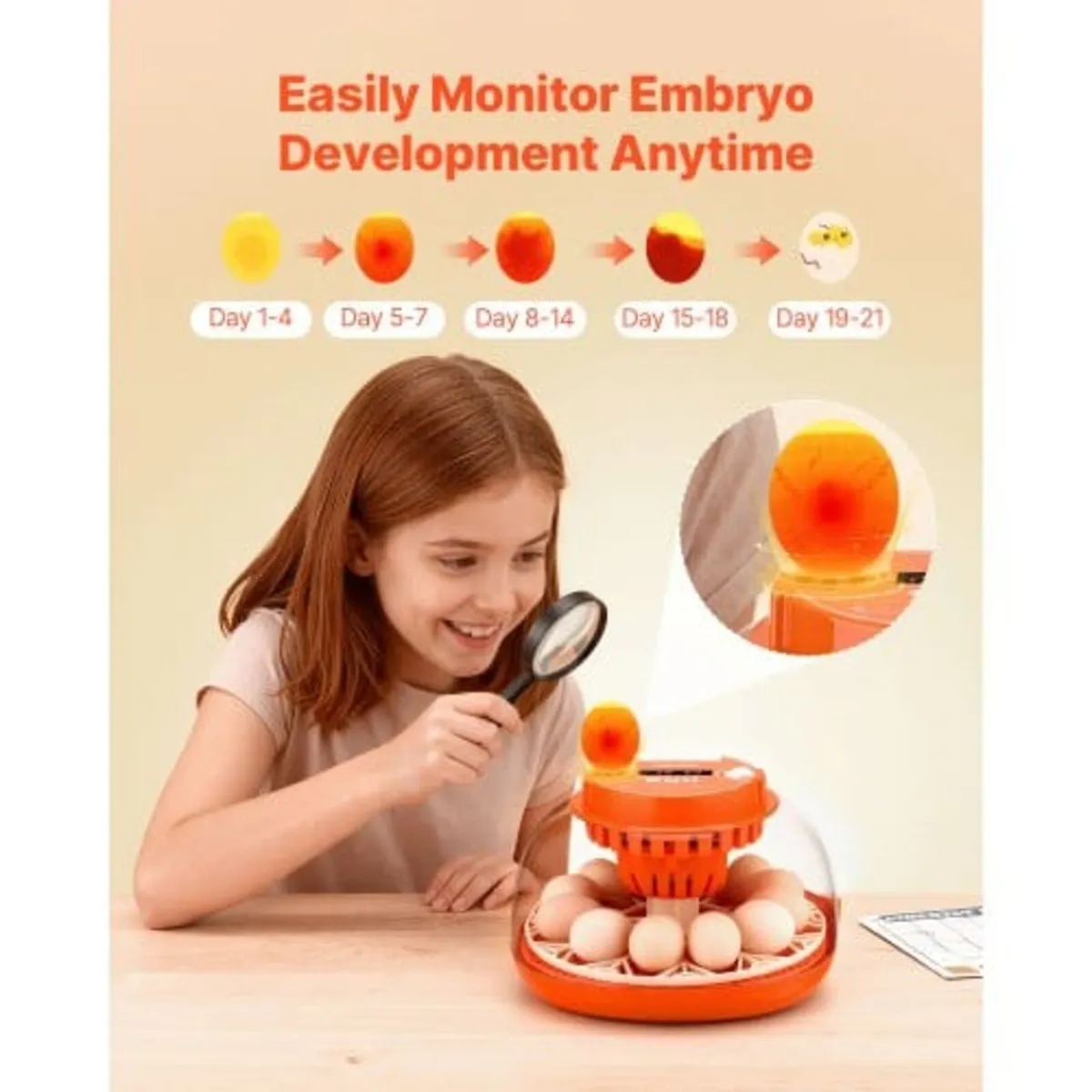 12 Egg Incubator, Automatic Egg Turner with LED Ca - Image 2