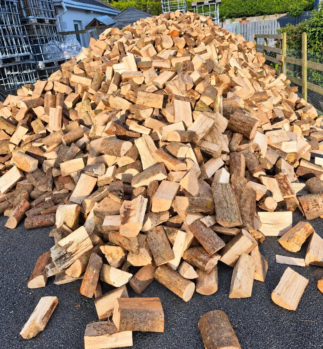 Firewood - Image 1