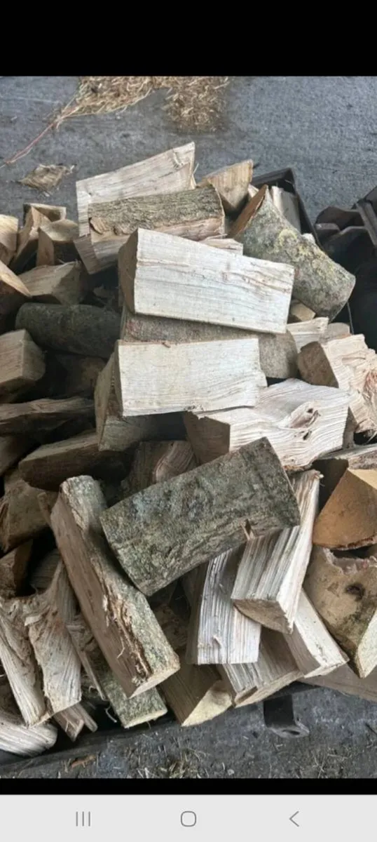 Firewood - Image 3