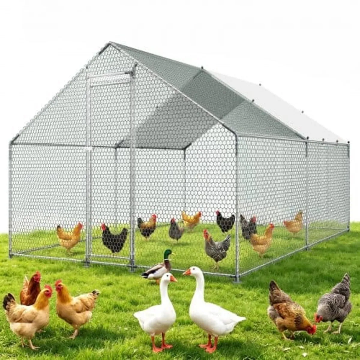 Large Metal Chicken Coop, 3 x 4 x 2 m, Walk-in Chi - Image 1