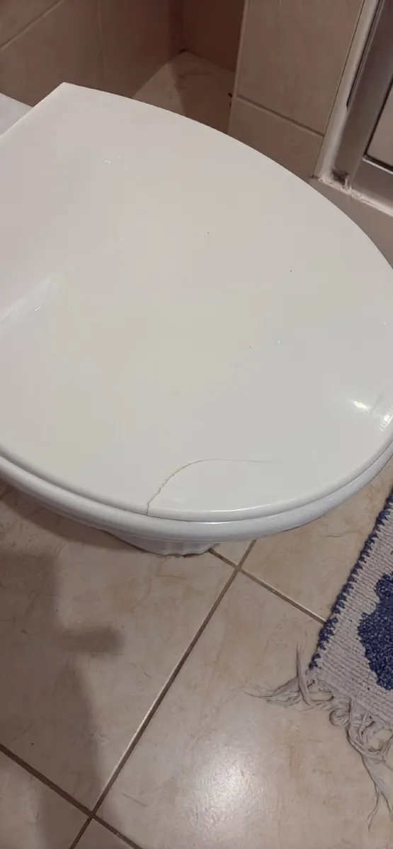 Toilet and sink with pedestal - Image 2