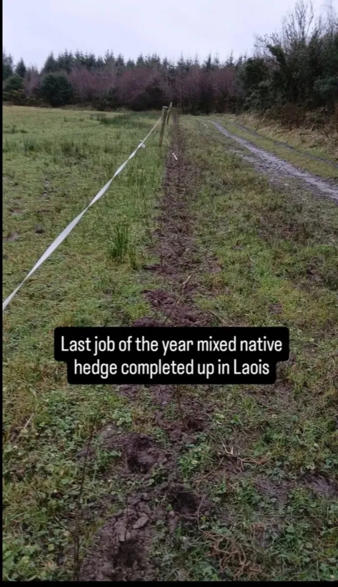 Nationwide Planting - Image 2