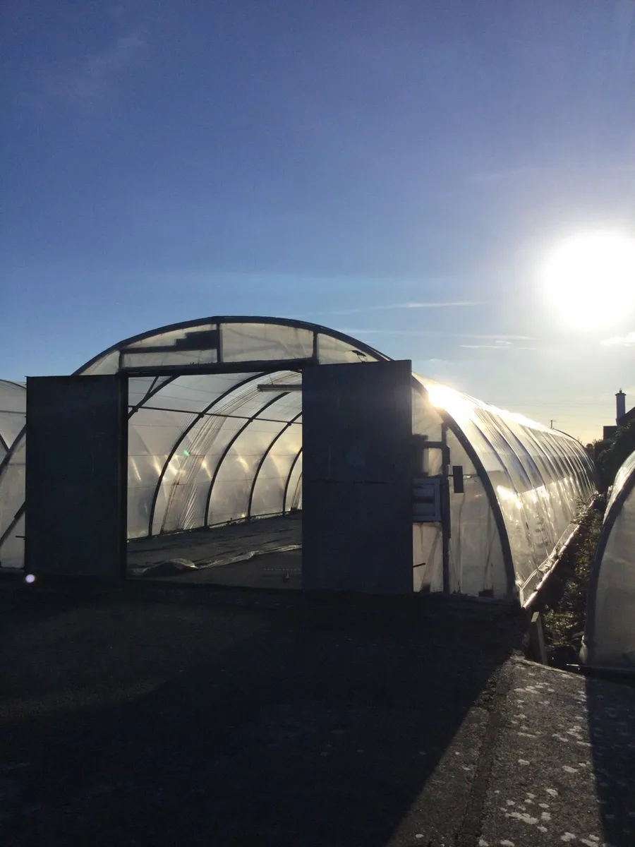 Polytunnels - Image 2