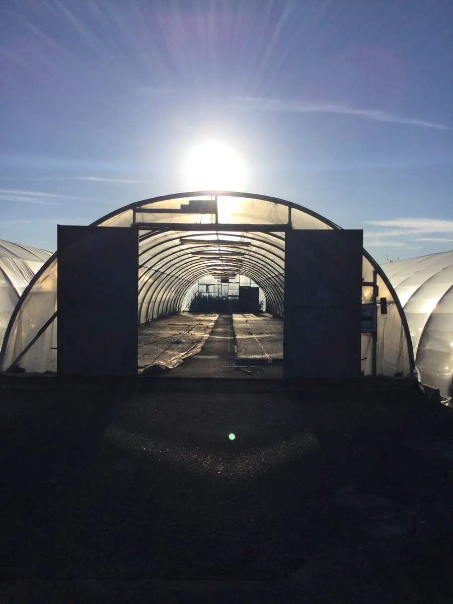 Polytunnels - Image 3