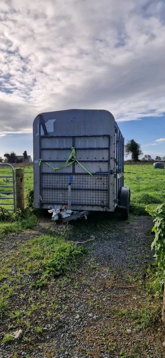 IFOR WILLIAMS 10x5 livestock trailer DECKS - Image 1