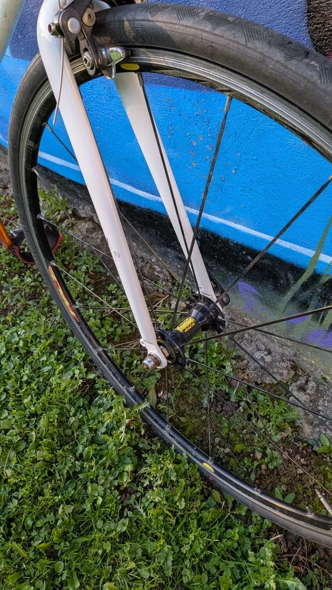 Fixie bike Giant Bowery limited edition, pista. - Image 3